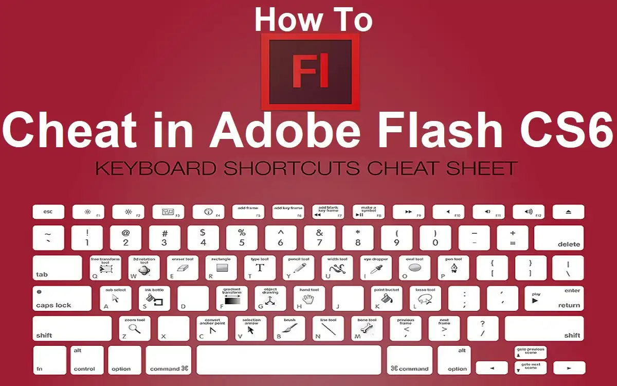 Cheat in Adobe Flash CS6